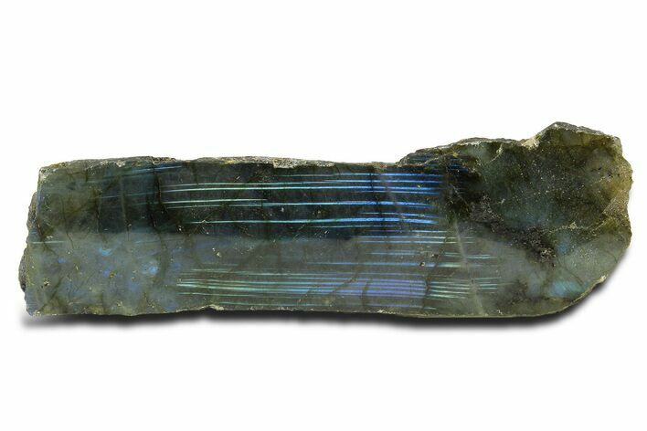 Single Side Polished Labradorite Section - Madagascar #295481